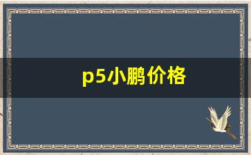 p5小鹏价格