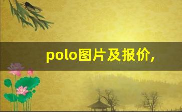 polo图片及报价,大众polo车价