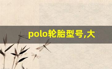 polo轮胎型号,大众POLO换轮胎推荐