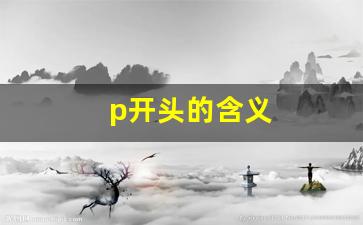 p开头的含义