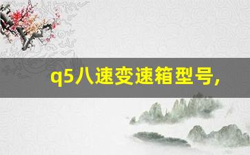 q5八速变速箱型号,奥迪q5几年的才有8at