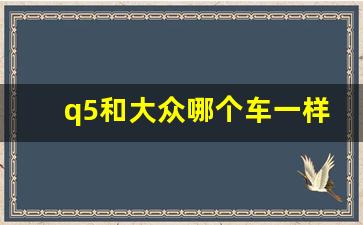 q5和大众哪个车一样,途锐与Q5是一个档次吗