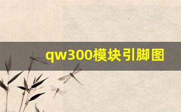 qw300模块引脚图