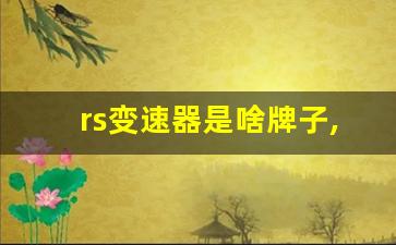 rs变速器是啥牌子,奥迪rs6变速箱