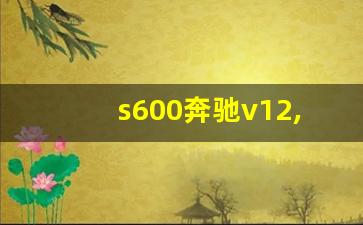 s600奔驰v12,奔驰v12有哪些车型