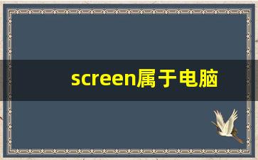 screen属于电脑的什么设备,电脑输入设备