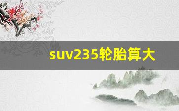 suv235轮胎算大吗,235胎宽属于什么档次的车