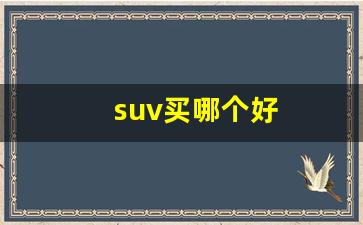 suv买哪个好