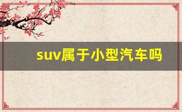 suv属于小型汽车吗