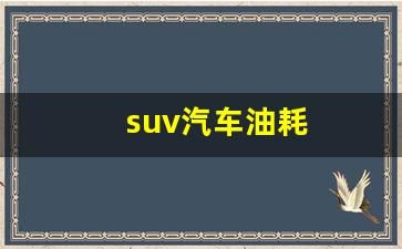 suv汽车油耗