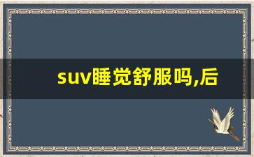 suv睡觉舒服吗,后排放倒纯平suv五座