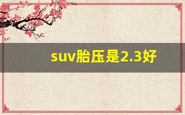 suv胎压是2.3好还是2.5好