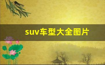 suv车型大全图片