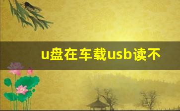 u盘在车载usb读不出来,u盘插车里没反应怎么回事