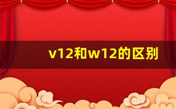 v12和w12的区别是什么意思,V12和W12