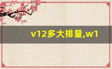 v12多大排量,w12和v12哪个更省油