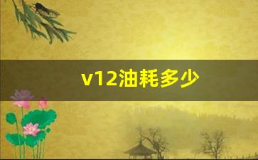 v12油耗多少