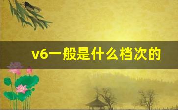 v6一般是什么档次的车,丰田后面有个v6是什么车