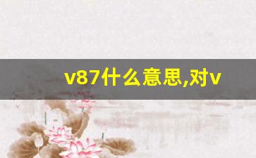 v87什么意思,对v87的评价