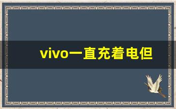 vivo一直充着电但充不进电