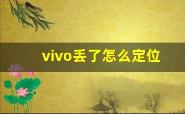 vivo丢了怎么定位找回