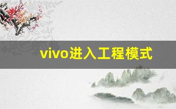 vivo进入工程模式指令