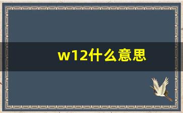 w12什么意思