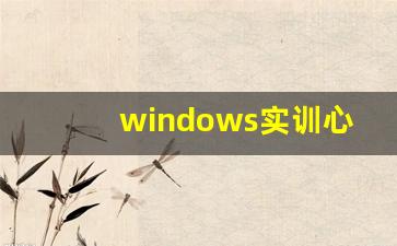 windows实训心得体会100字