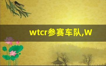 wtcr参赛车队,WTCR的前身是什么赛事