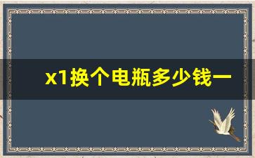 x1换个电瓶多少钱一个