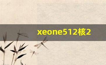 xeone512核24线程