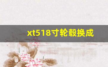 xt518寸轮毂换成20寸轮毂