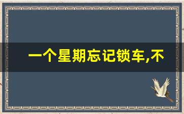 一个星期忘记锁车,不确定车锁没锁怎么办