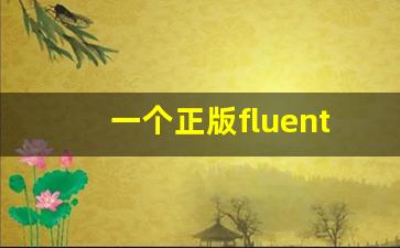 一个正版fluent的软件多少钱