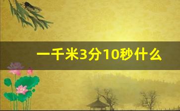 一千米3分10秒什么水平,1000米3分20秒什么水平