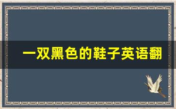 一双黑色的鞋子英语翻译