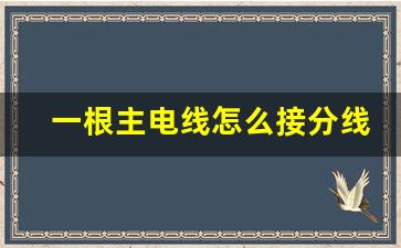 一根主电线怎么接分线的图解,电线分到各房间怎么接