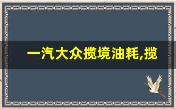 一汽大众揽境油耗,揽境一箱油多少钱