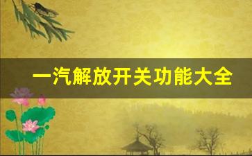 一汽解放开关功能大全,解放j6各按键功能介绍