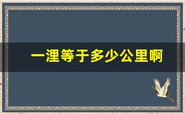 一浬等于多少公里啊