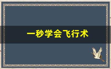 一秒学会飞行术