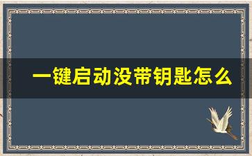 一键启动没带钥匙怎么启动车