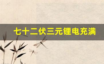 七十二伏三元锂电充满电79v,三元锂需要定期充满吗