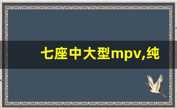 七座中大型mpv,纯电动7座商务车