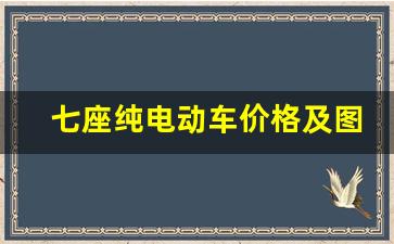 七座纯电动车价格及图片