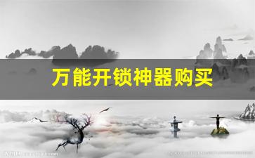 万能开锁神器购买