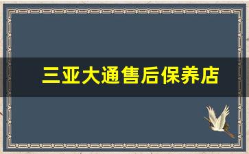 三亚大通售后保养店