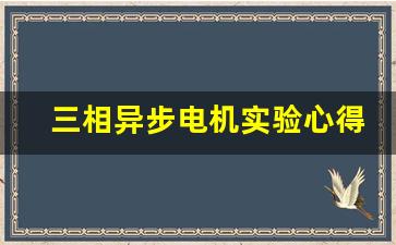 三相异步电机实验心得体会,三相异步电动机