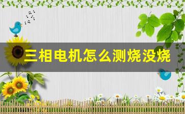 三相电机怎么测烧没烧,380v三相电机怎么测量好坏