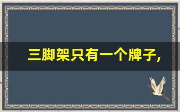 三脚架只有一个牌子,国内最好的三脚架